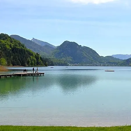 Alte Tanne