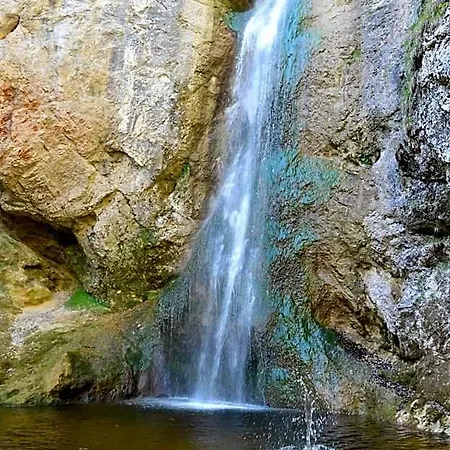 Mini-hôtel Alte Tanne 3*