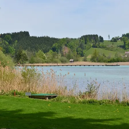 Alte Tanne