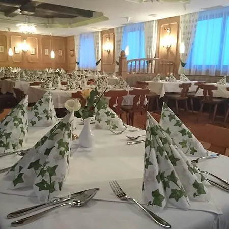 Penzion Alte Tanne 3*