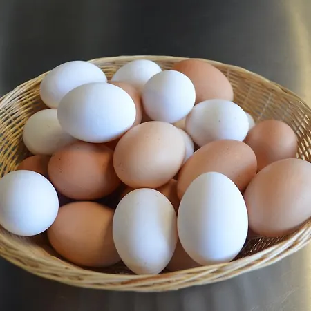 Alte Tanne Penzion 3*