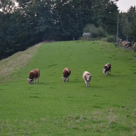 Alte Tanne 3* Hof bei Salzburg