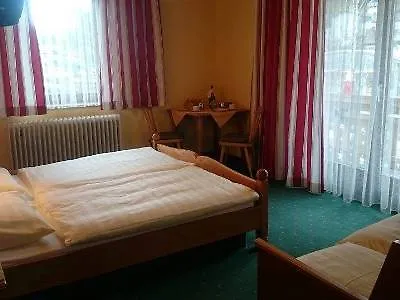 Mini-hôtel Alte Tanne 3*