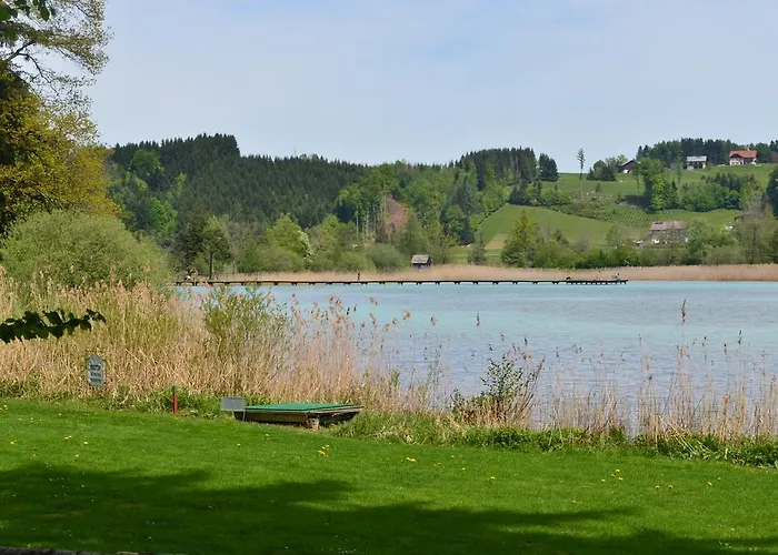 Alte Tanne