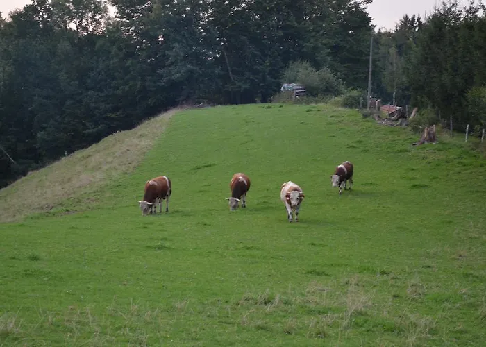 Alte Tanne 3* Hof bei Salzburg